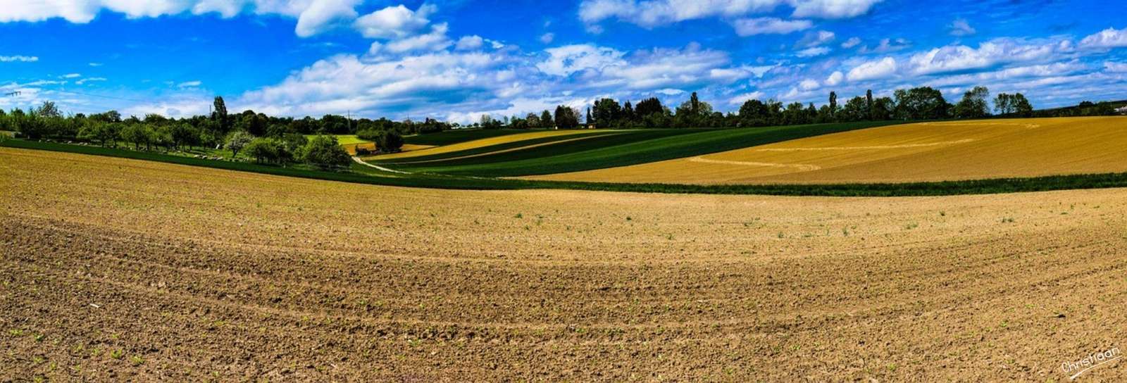 Veld, Panorama, Landbouw. online puzzel