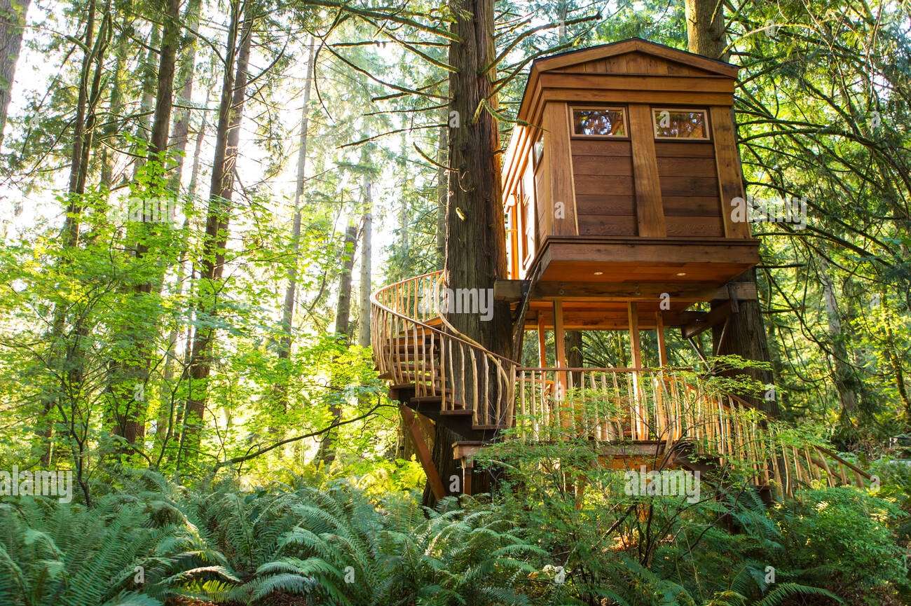 Beautiful Tree House online puzzle