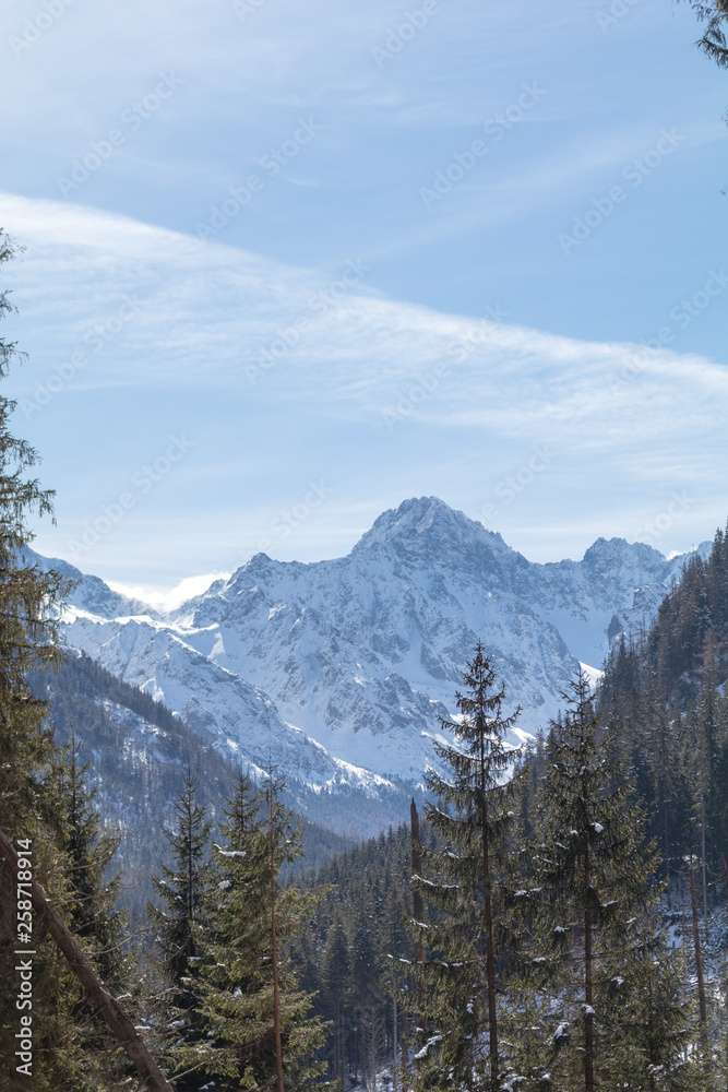 Tatra-Gebirge Zakopane im Winter Polen Online-Puzzle