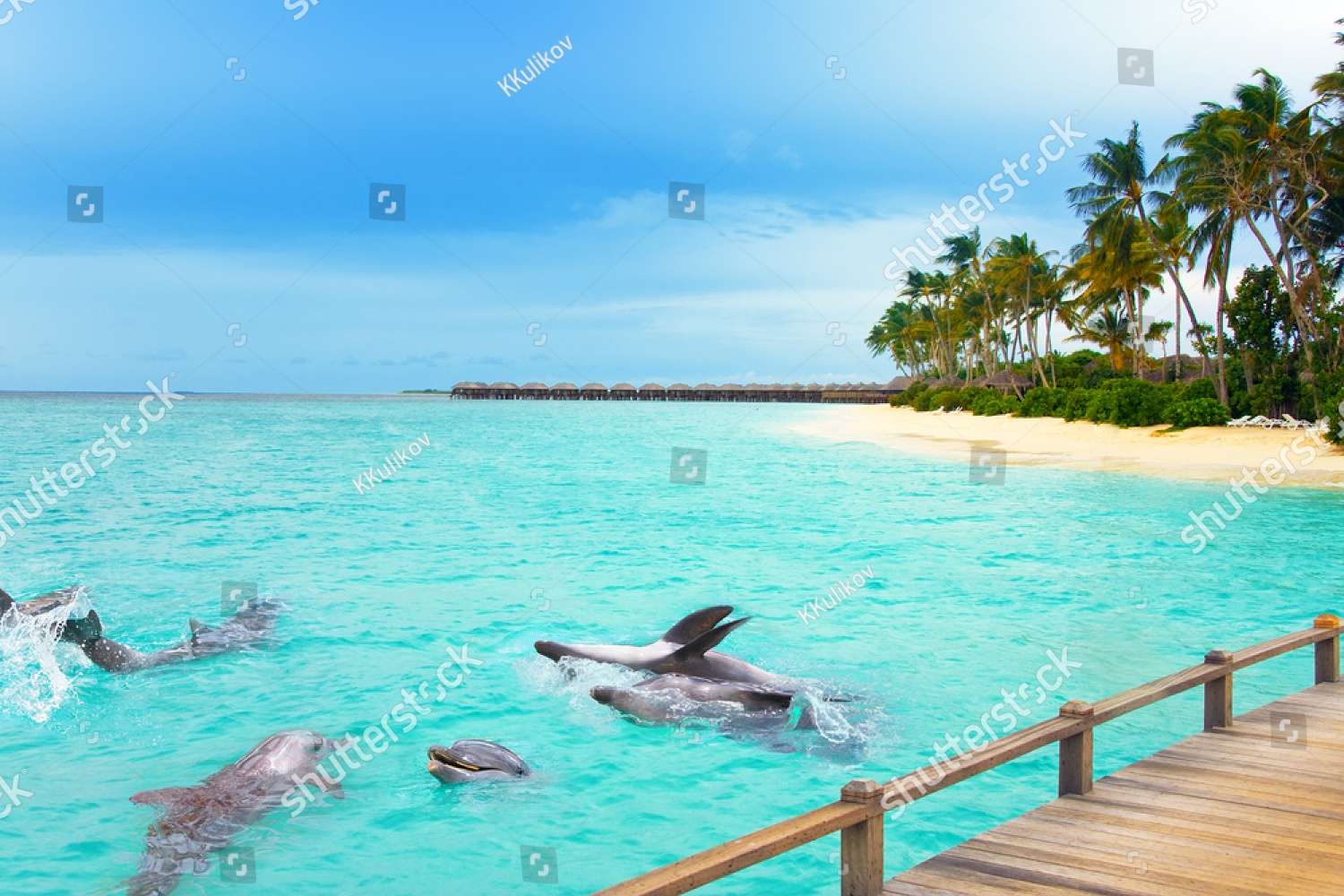 Dolphins on the Maldives Coast jigsaw puzzle online