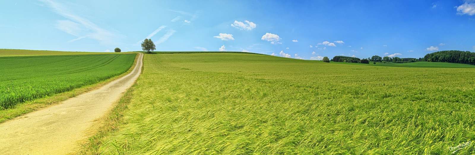 Campo, Campo, Panorama. rompecabezas en línea