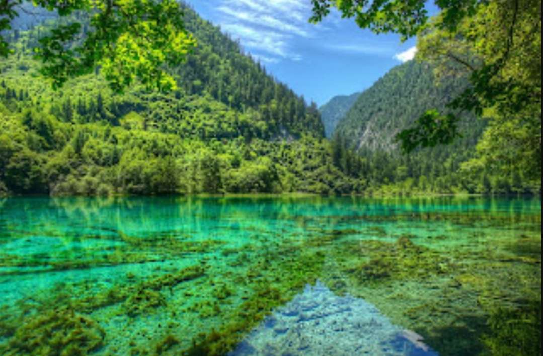 Jiuzhaigou nationalpark, Kina pussel på nätet