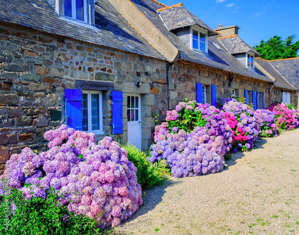 Ortensie sopra i cottage Bretagna Francia puzzle online