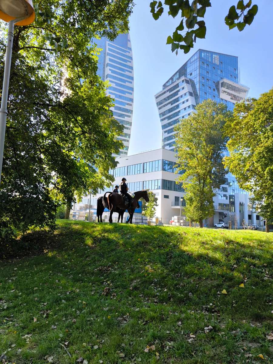 Vista del centro de la ciudad de Rzeszów rompecabezas en línea