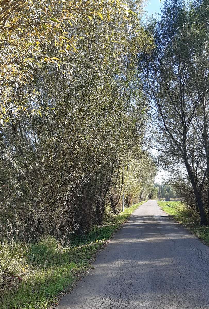 un paseo al final de Sandomierz rompecabezas en línea