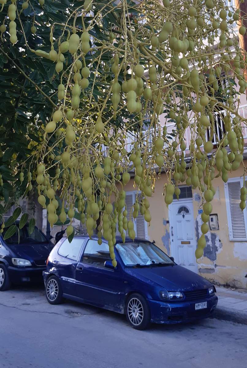 street in Zakynthos online puzzle