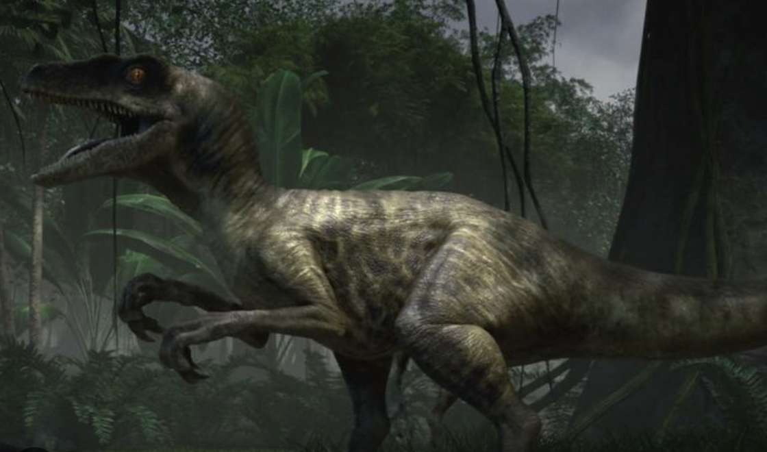 Azul el velociraptor rompecabezas en línea