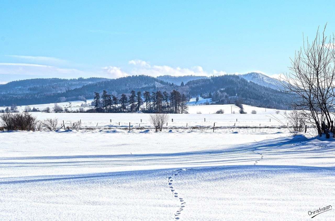 Berge, Feld, Schnee. Puzzlespiel online