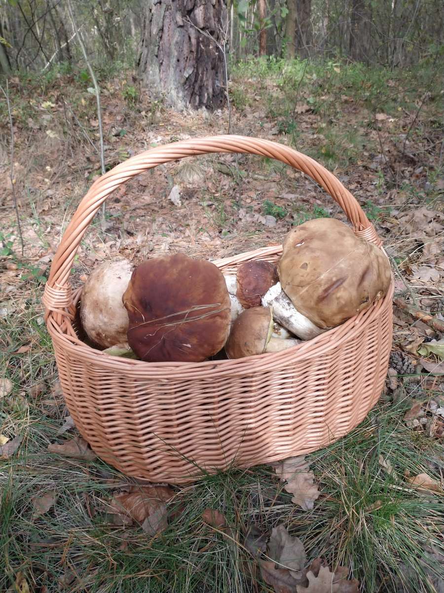 una canasta llena de champiñones rompecabezas en línea