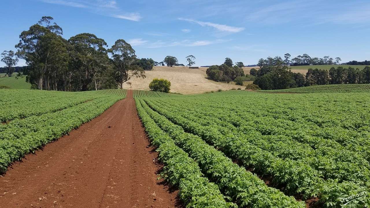 Agricultura, Granja, Naturaleza. rompecabezas en línea