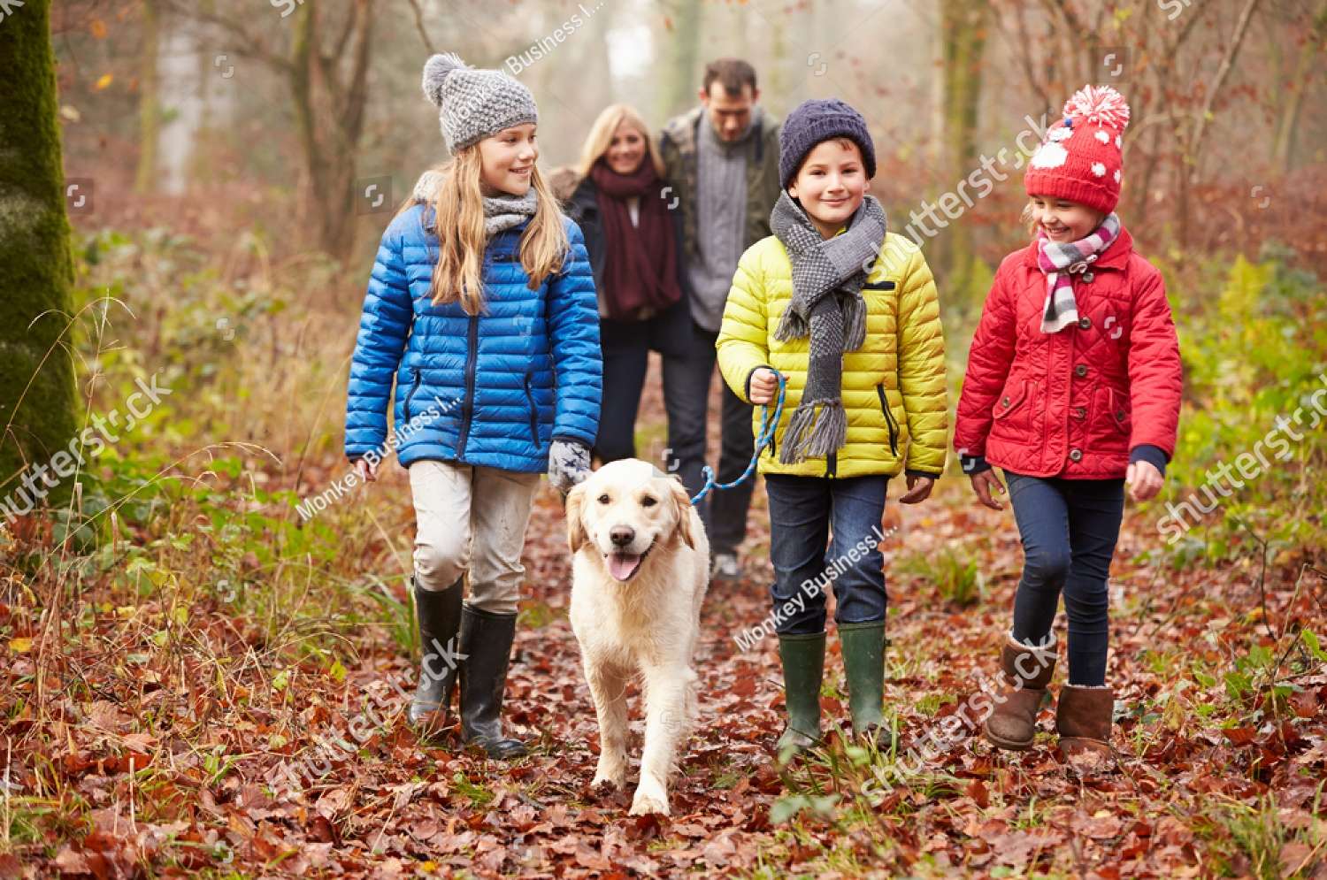 Paseo de otoño con el perro rompecabezas en línea