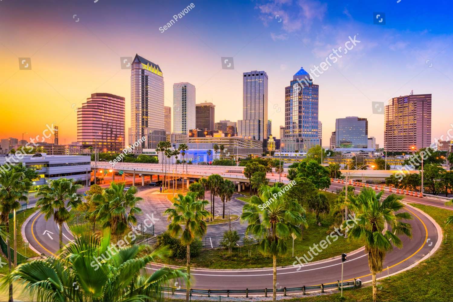 Tampa, Florida, USA online puzzle