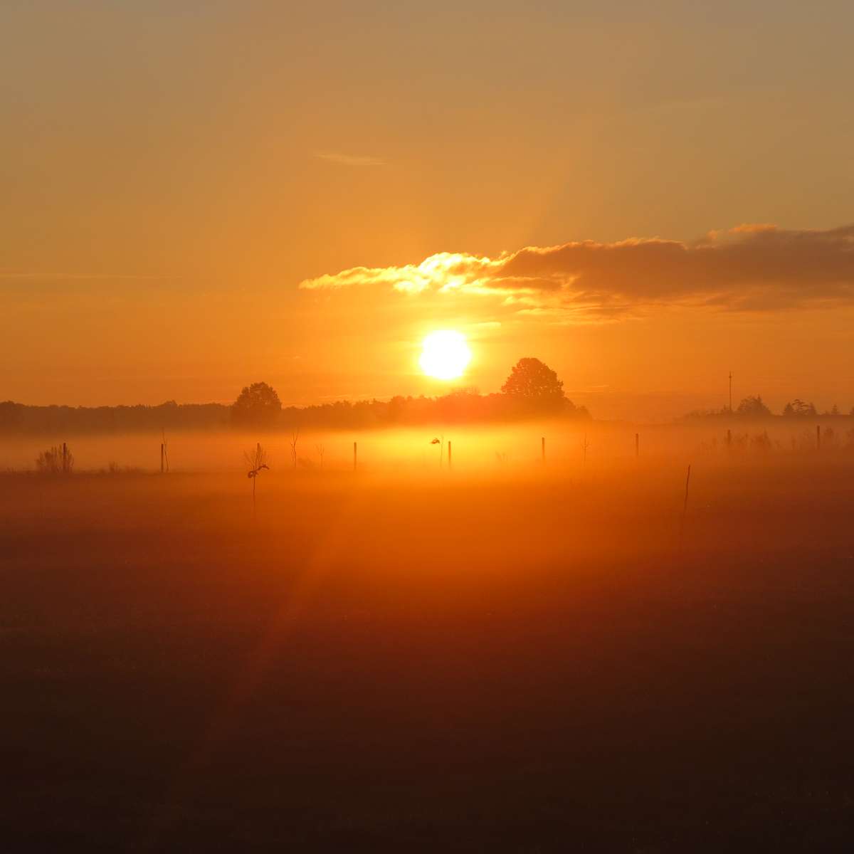 Amanecer - otoño rompecabezas en línea