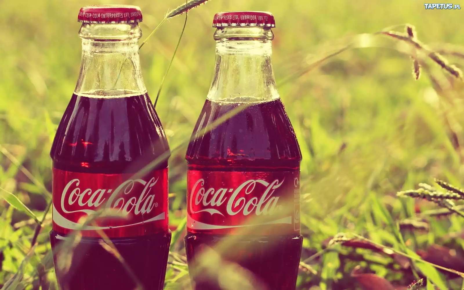 Dos botellas de coca cola rompecabezas en línea