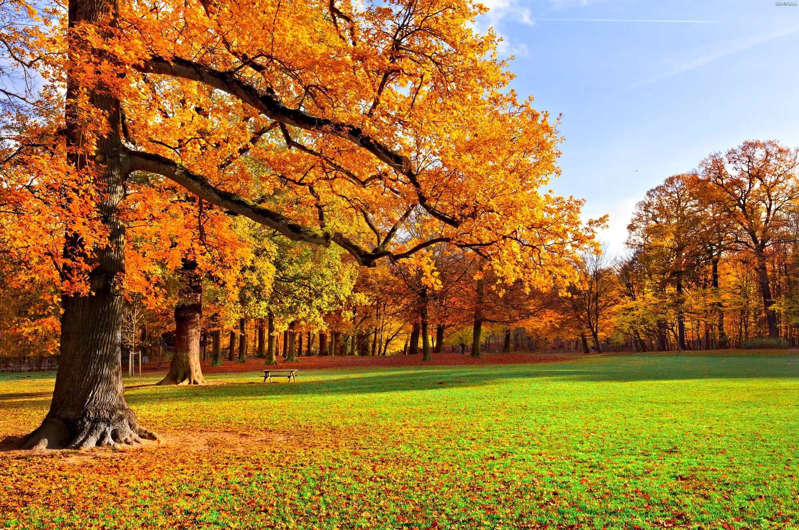 Höstparken pussel på nätet