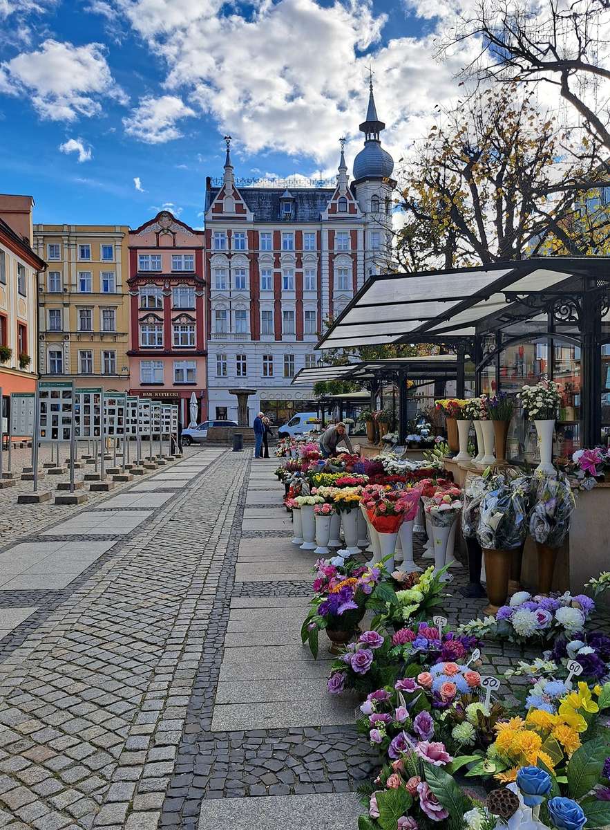 Świdnica v Dolním Slezsku skládačky online