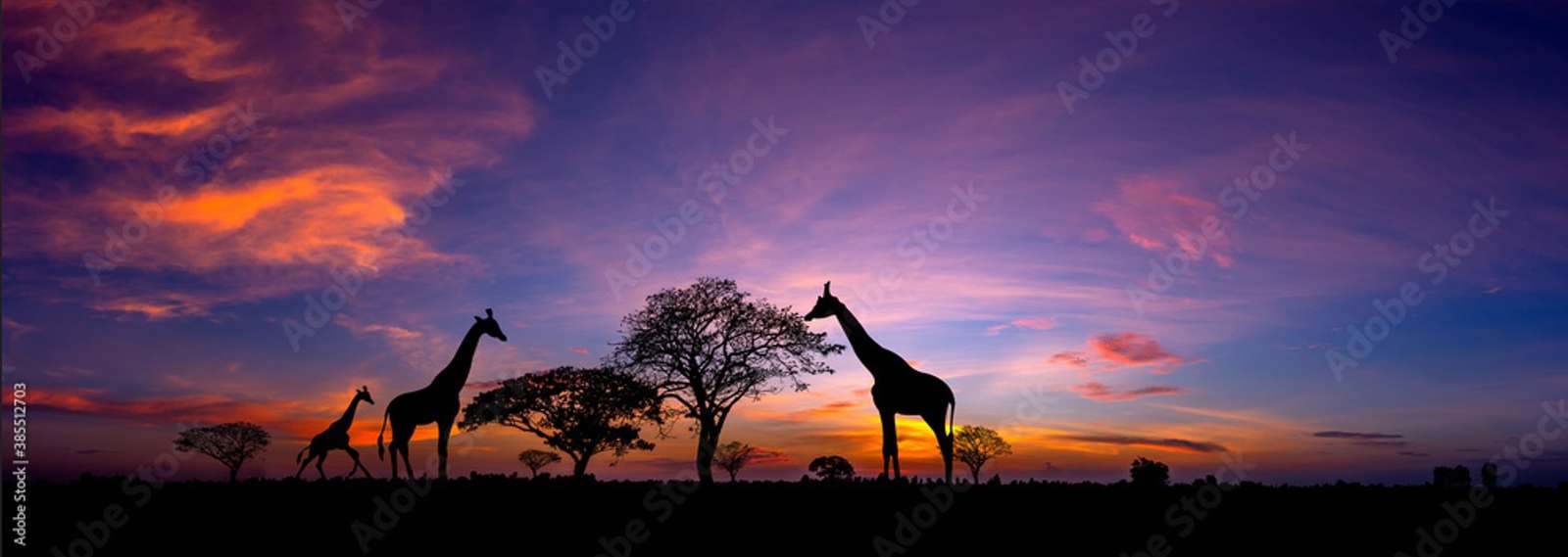 Giraffamilie tijdens zonsondergang online puzzel