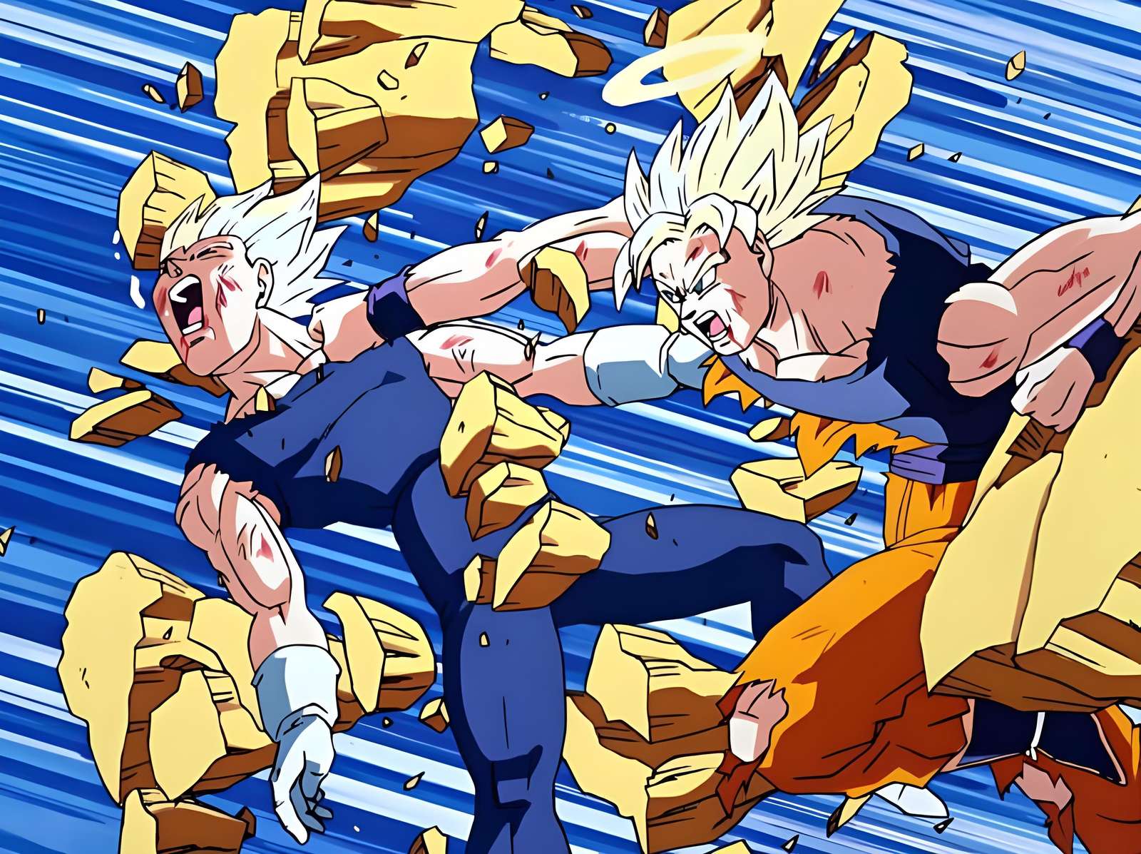 Majin Vegeta versus Goku. legpuzzel online