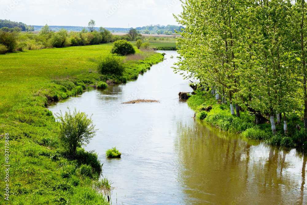 La rivière Wieprz, dans l'est de la Pologne puzzle en ligne