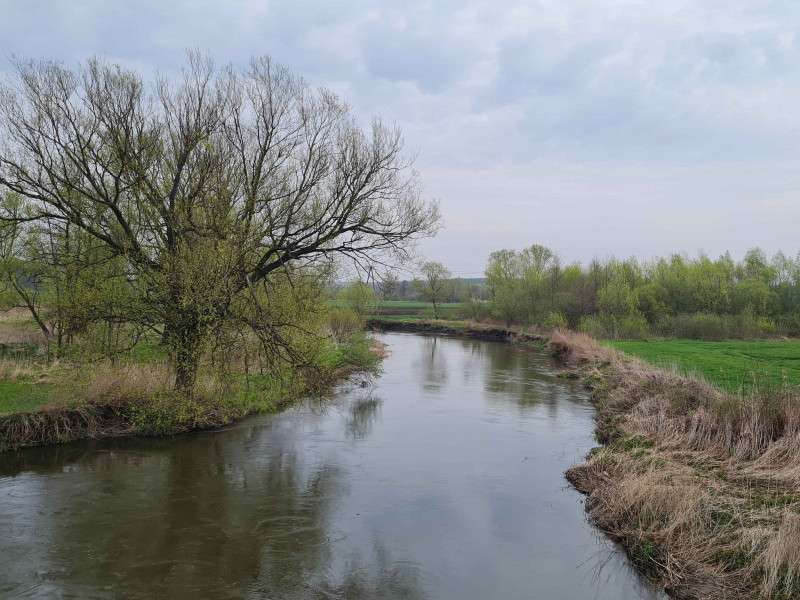 El río Wieprz en el este de Polonia rompecabezas en línea