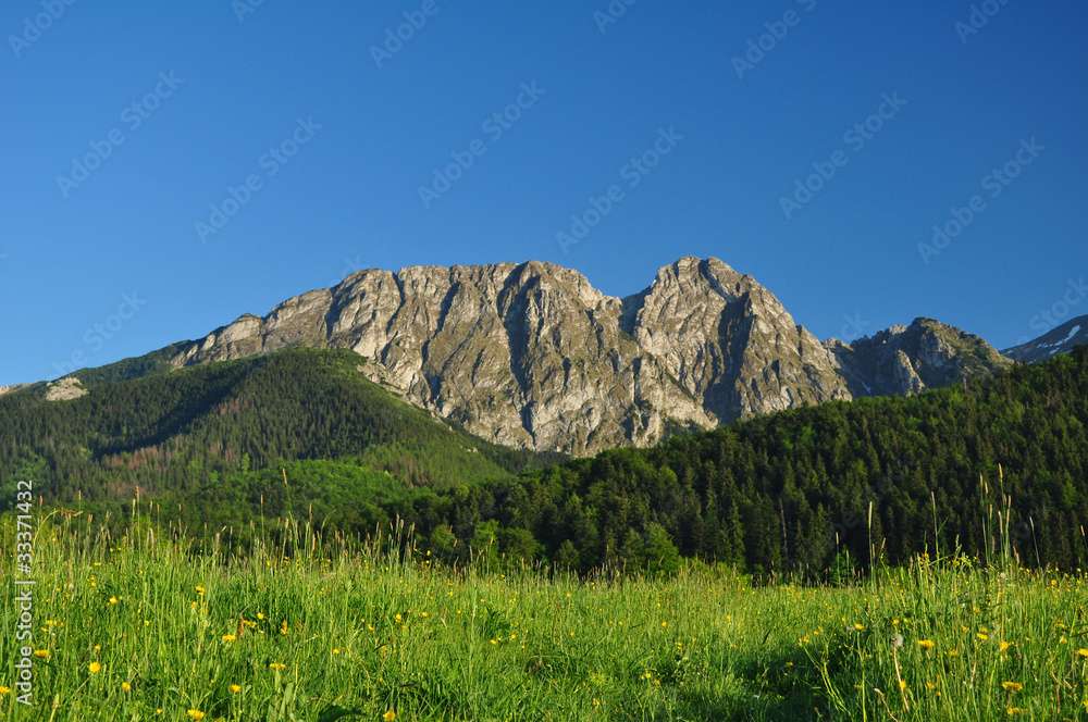 Montaña Giewont en las montañas Tatra rompecabezas en línea