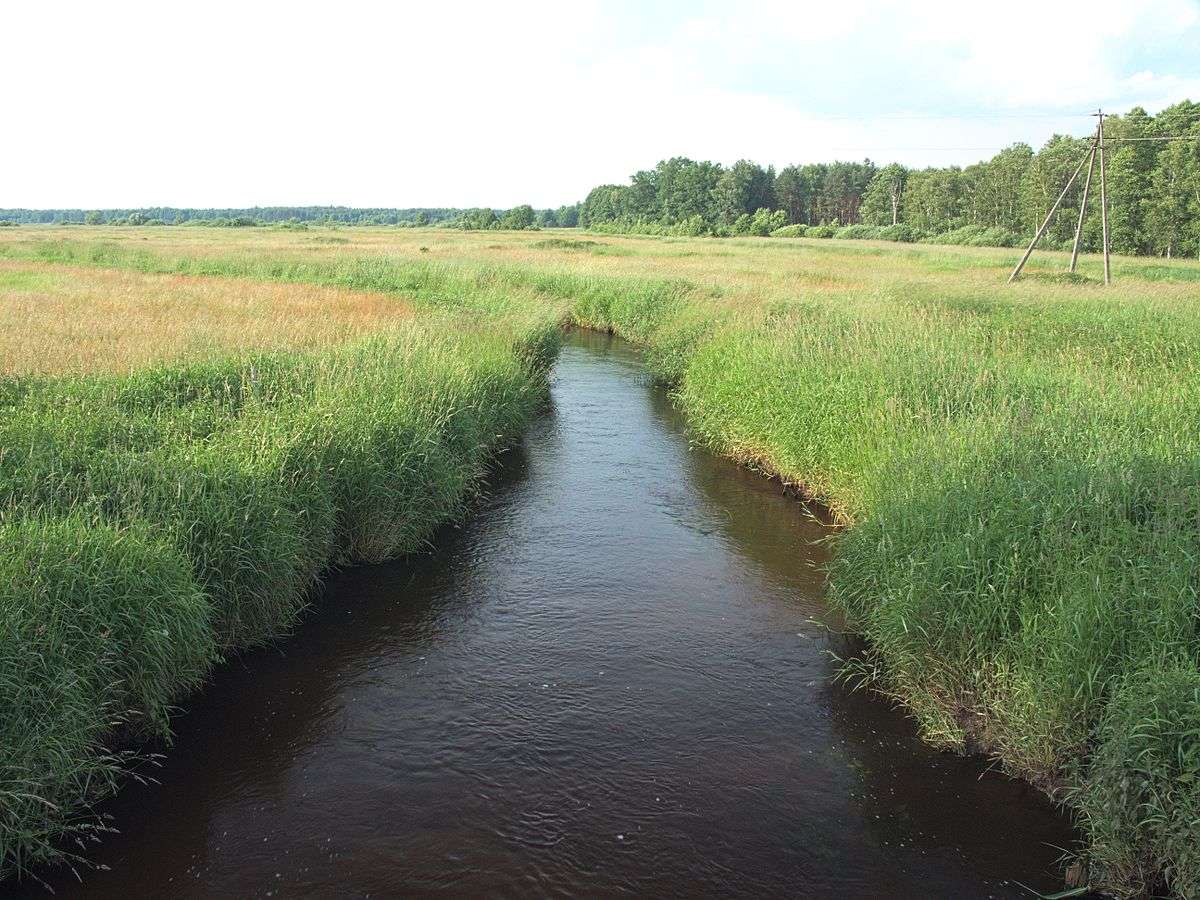 De Nurczyk-rivier in het oosten van Polen legpuzzel online