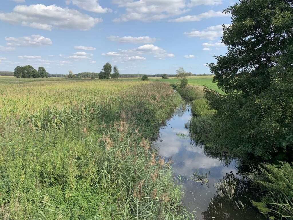 Une rivière dans l’est de la Pologne puzzle en ligne