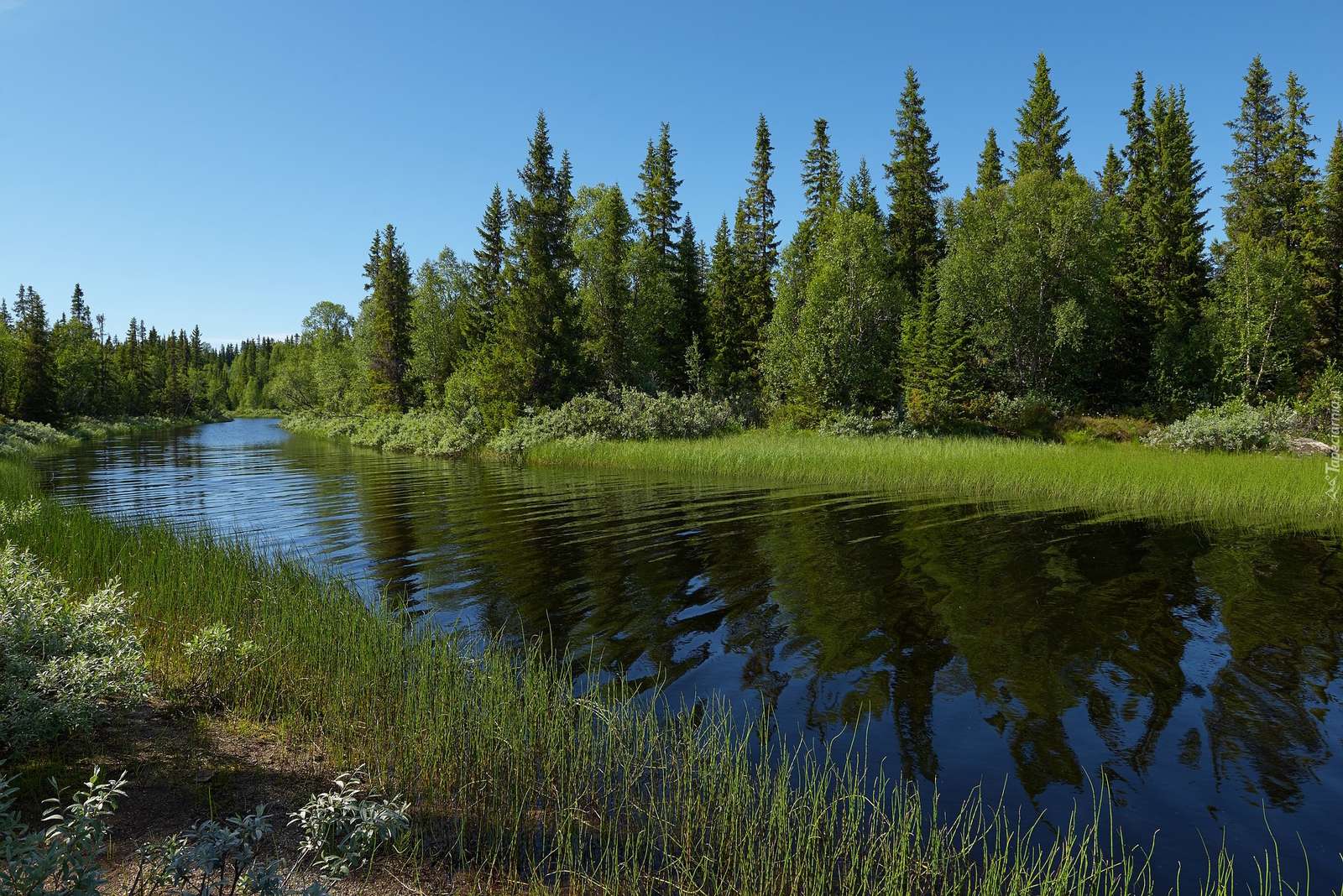 Landschap met een rivier legpuzzel online