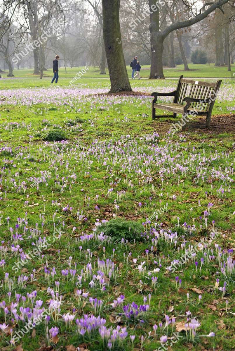 Primăvara devreme în parcul britanic puzzle online