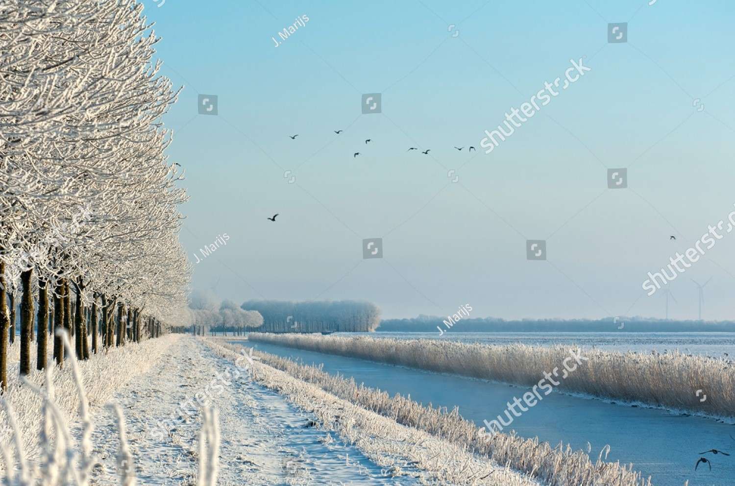 Beautiful Winter Landscape online puzzle