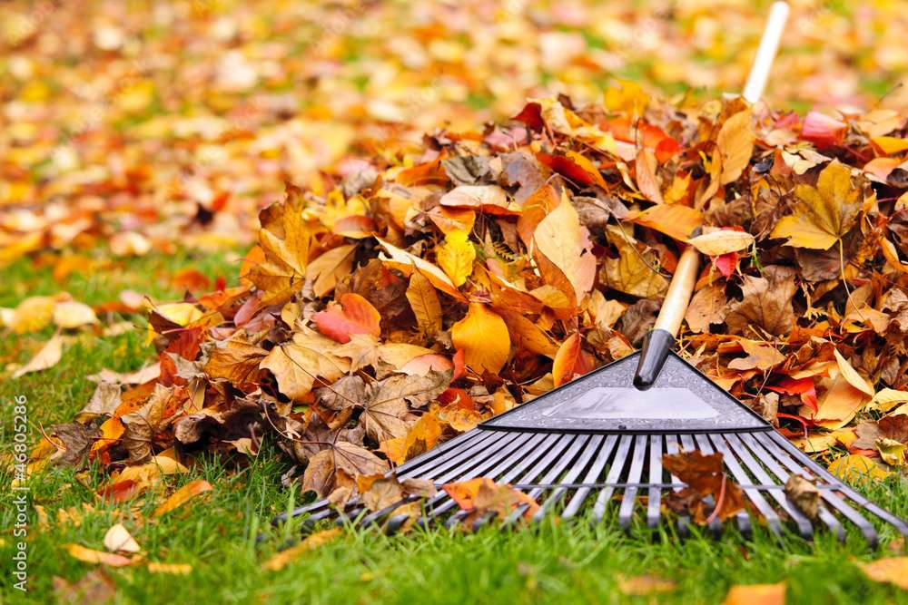 Raking Leaves in Autumn online puzzle