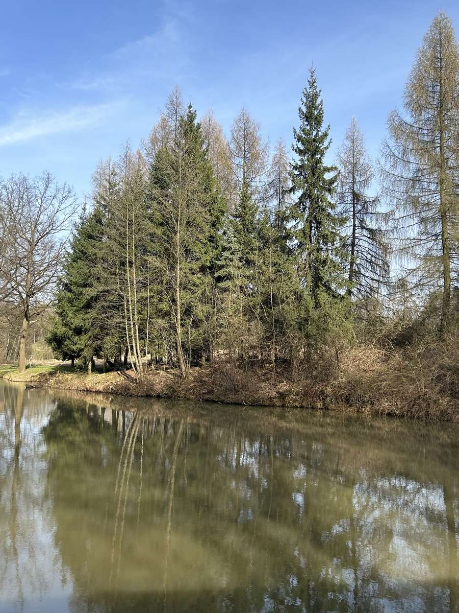 Paisaje de primavera rompecabezas en línea