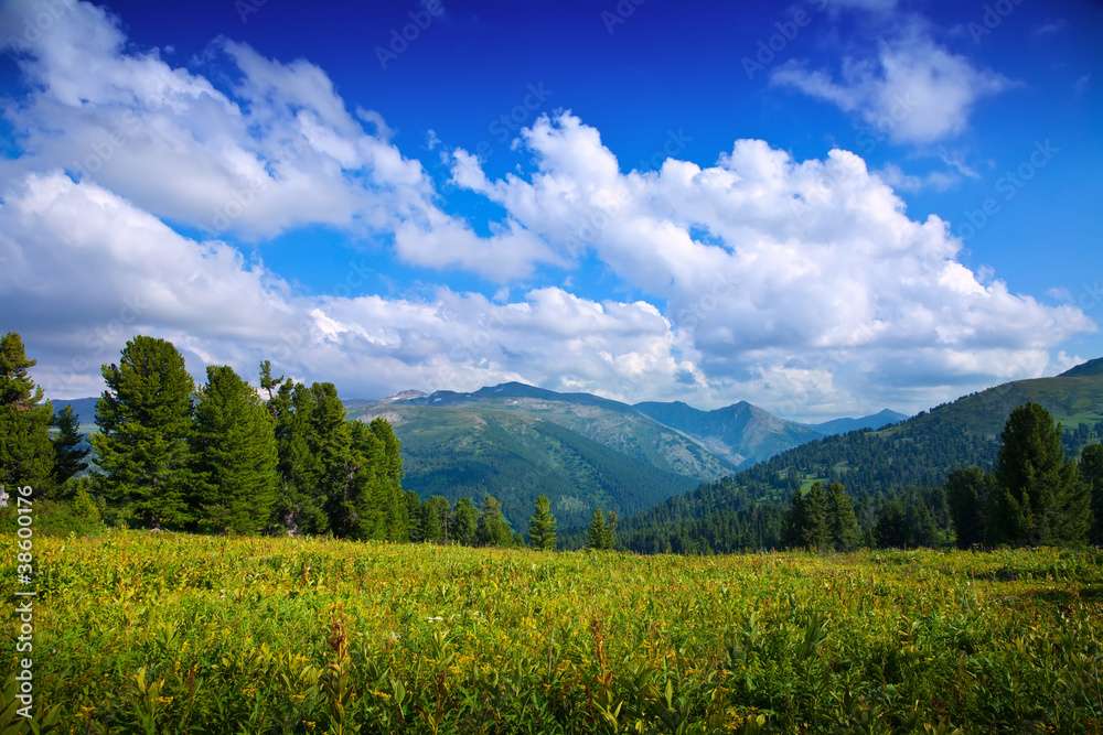 Mountain Landscape with Forest jigsaw puzzle online