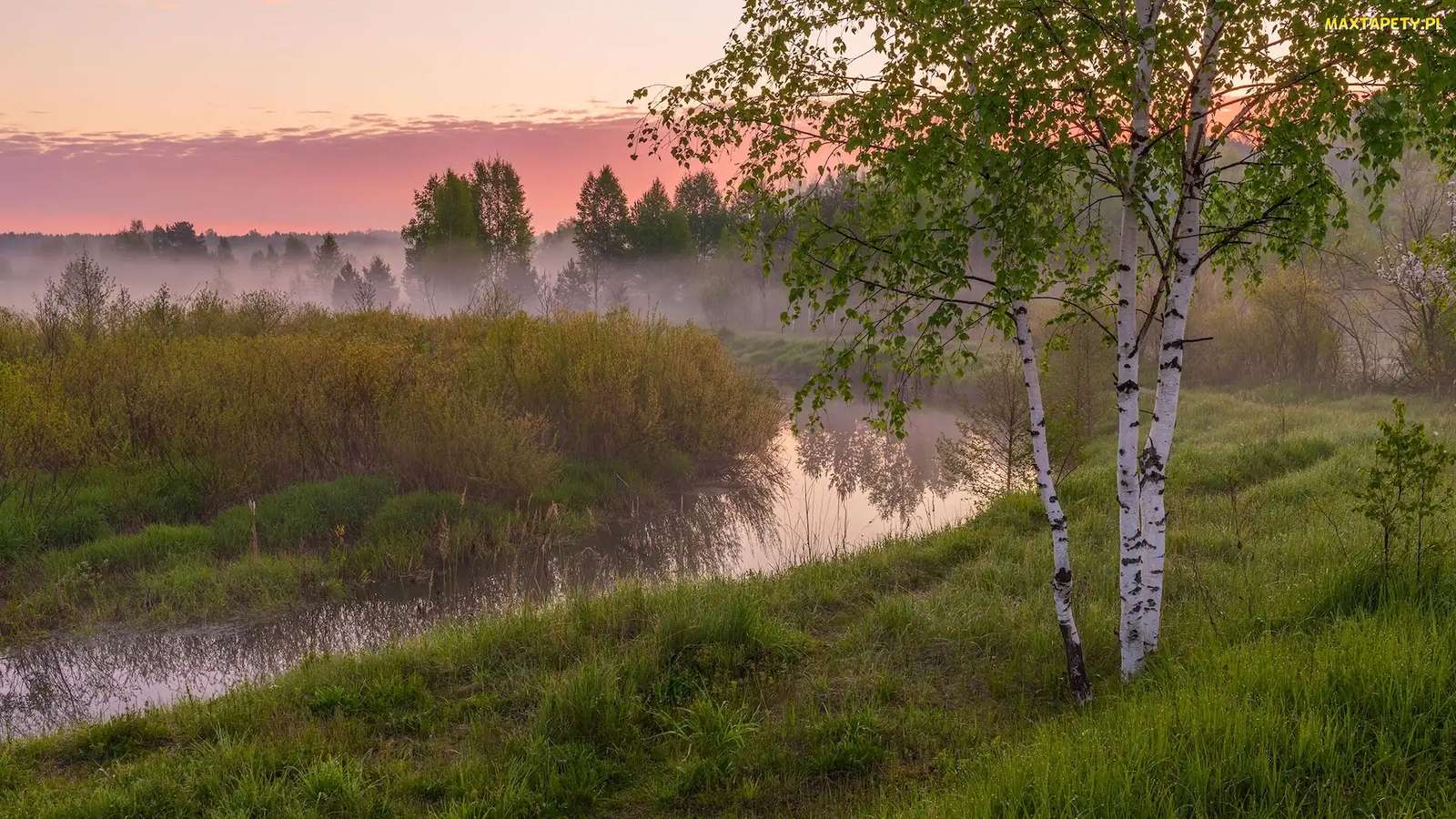 Berkenbomen groeien langs de rivier legpuzzel online