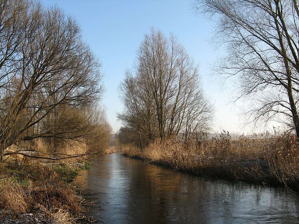 River in the autumn landscape online puzzle