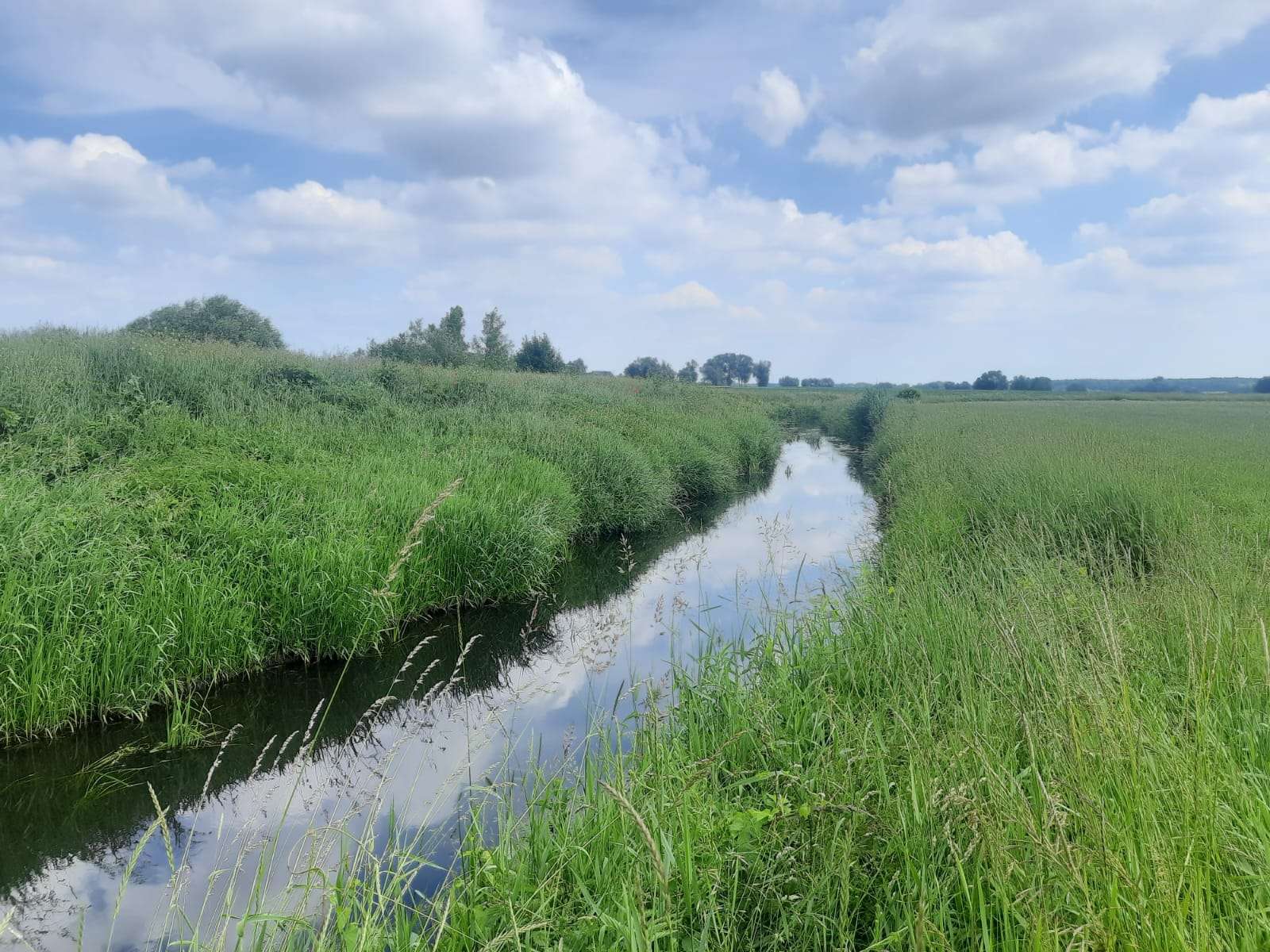 River in the summer landscape jigsaw puzzle online