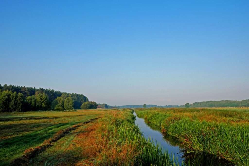 El río fluye a través de los campos. rompecabezas en línea