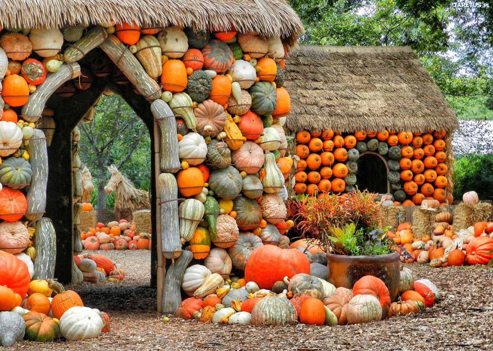 Decoration with different pumpkins online puzzle