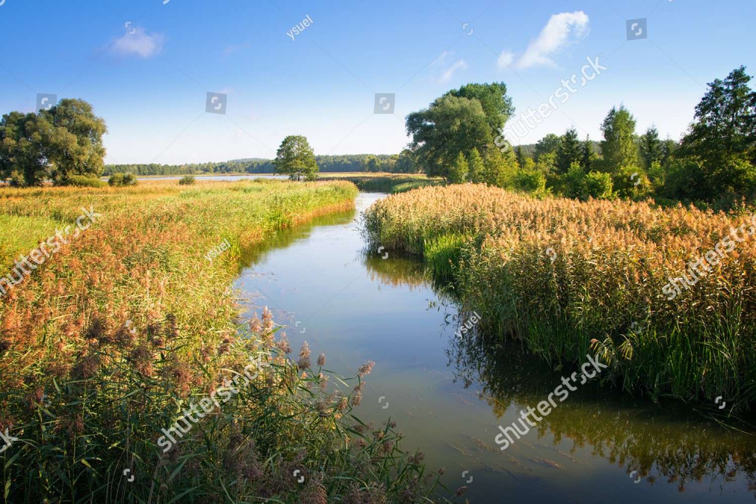 Rivière sur le lac Haleckie, Pologne puzzle en ligne