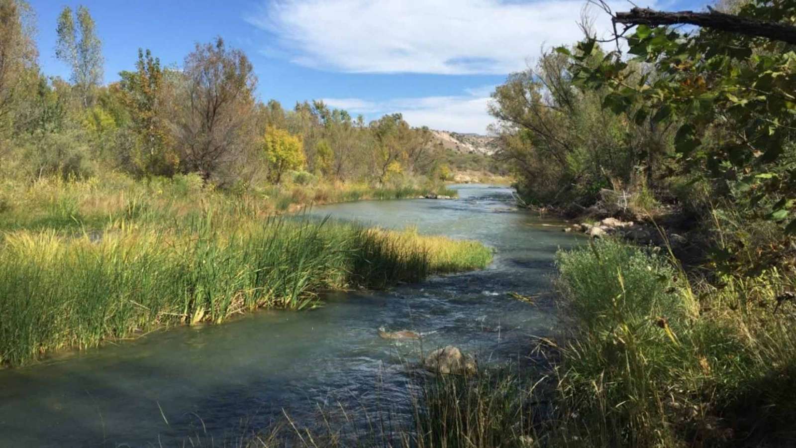 Un río en Arizona rompecabezas en línea