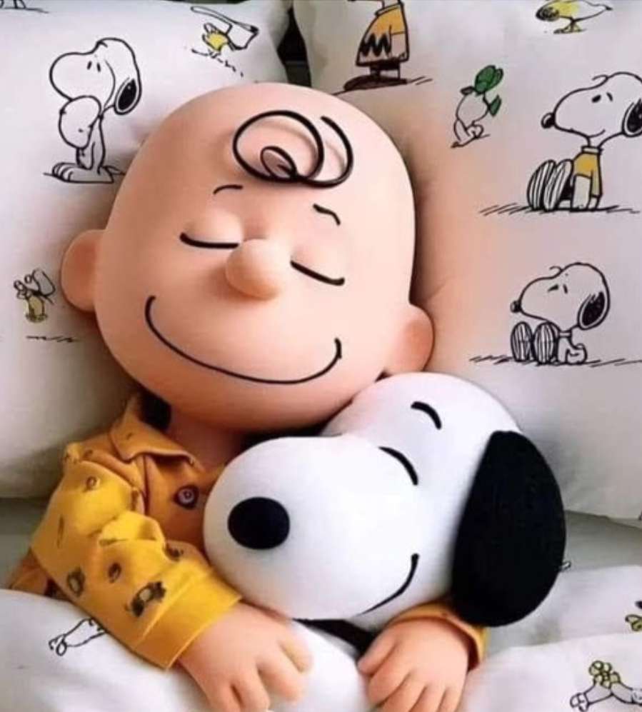 Charlie and Snoopy Take a snooze Together online puzzle