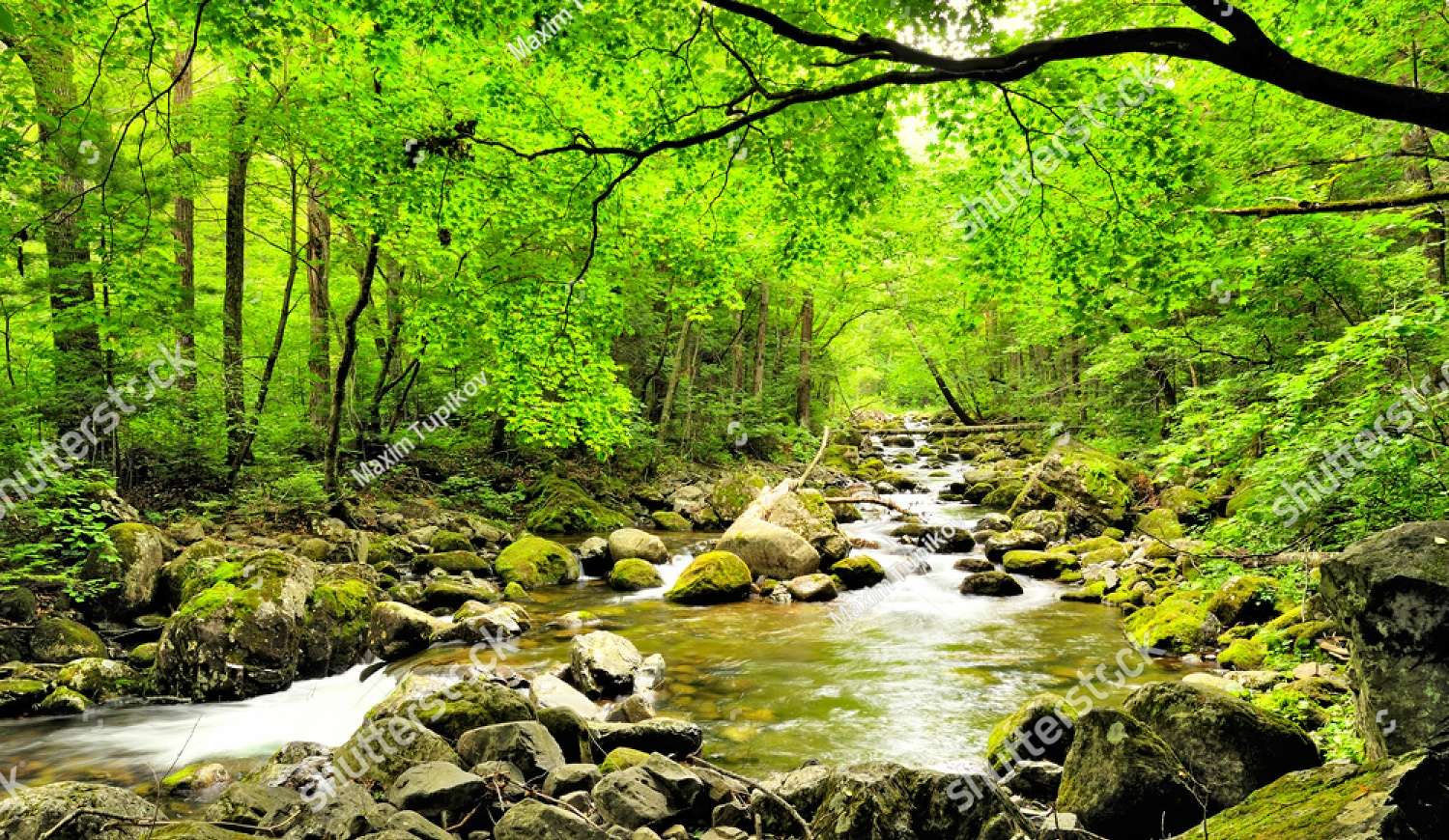 Un arroyo en el bosque rompecabezas en línea