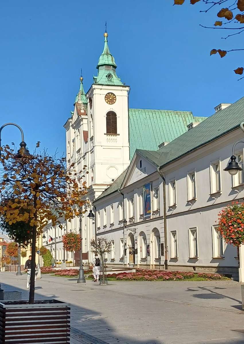 Rzeszów 3maja street church and monastery online puzzle