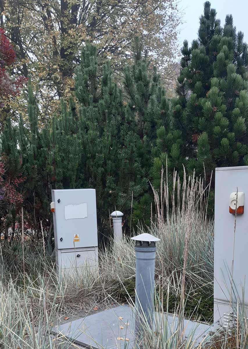 un rincón regular en el jardín rompecabezas en línea