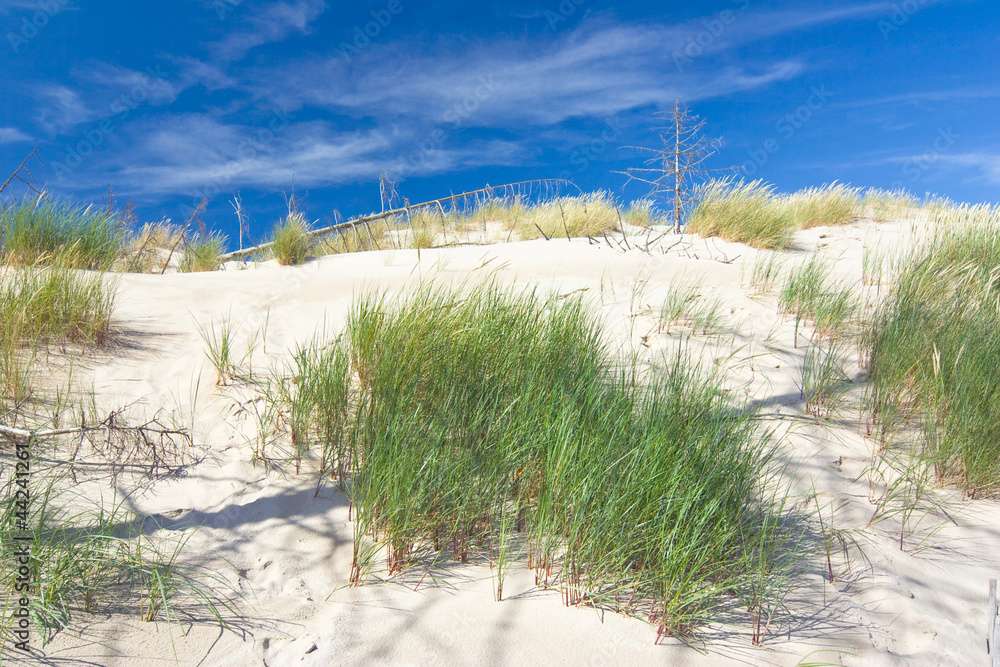 Sanddyner i nationalparken Słowiński pussel på nätet