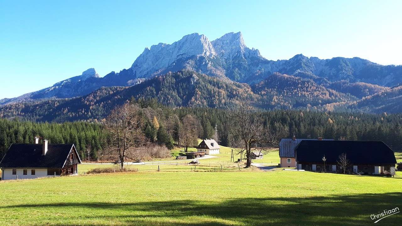 Berg, träd, skog. pussel på nätet