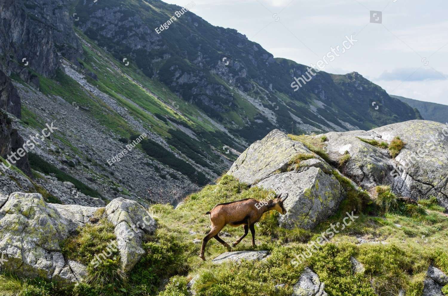 Kozioł i Tatrabergen Pussel online