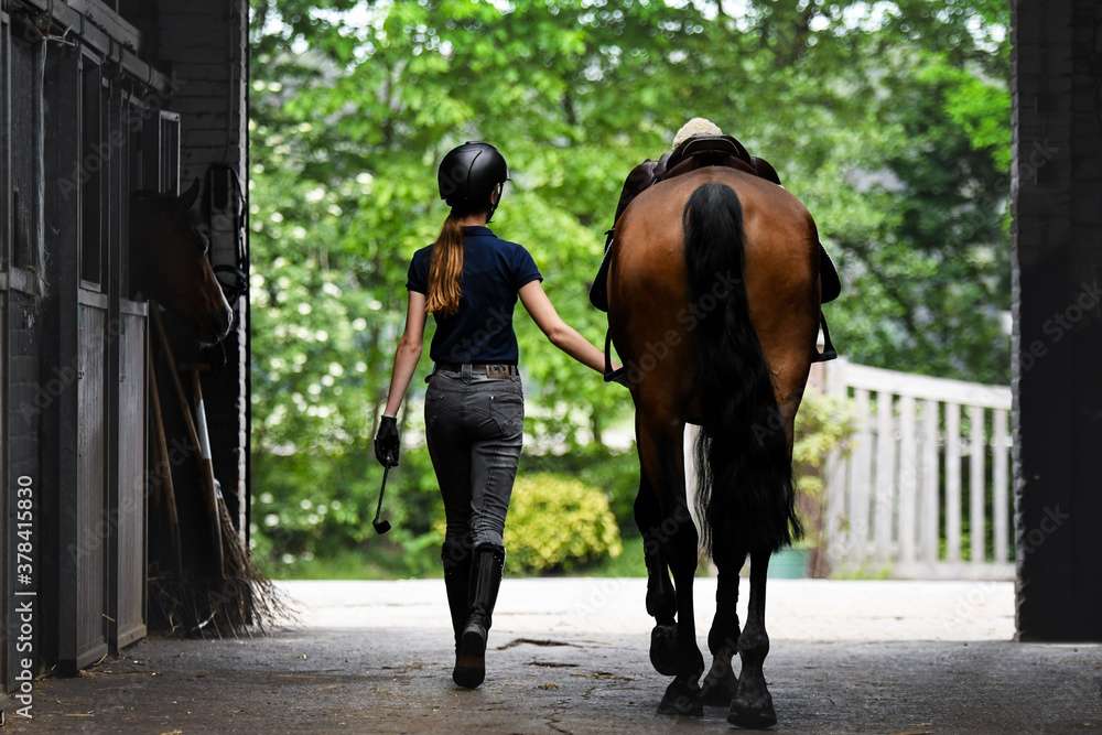 Girl with a Horse online puzzle