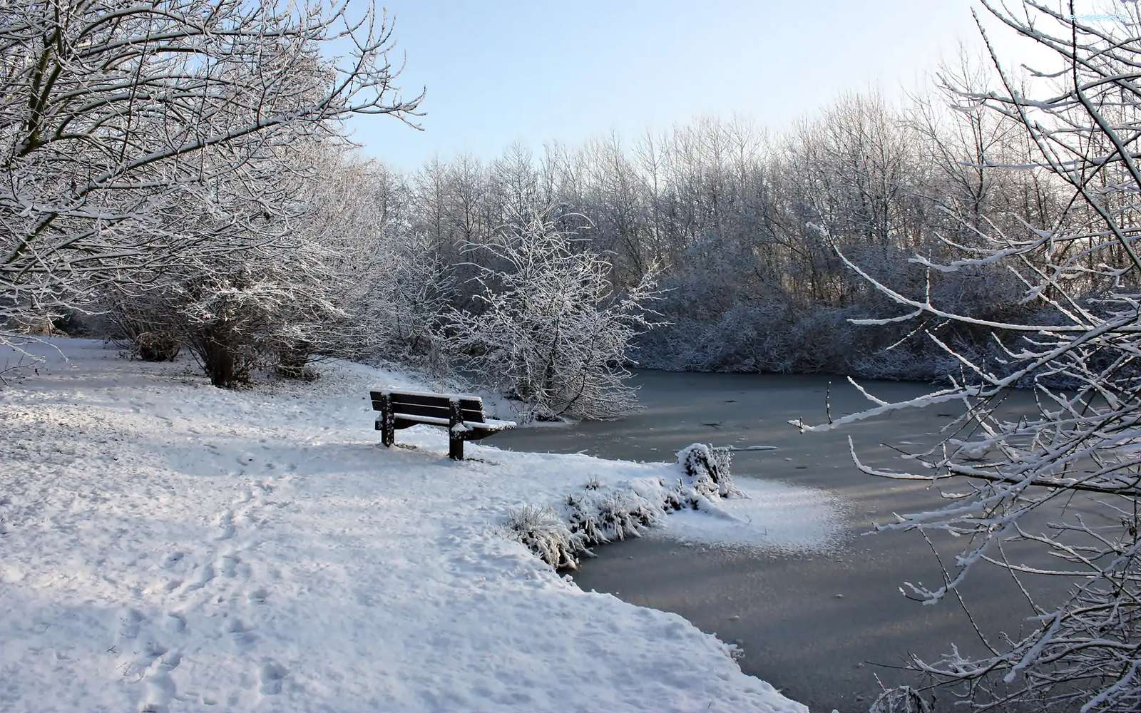 Parc d'hiver puzzle en ligne