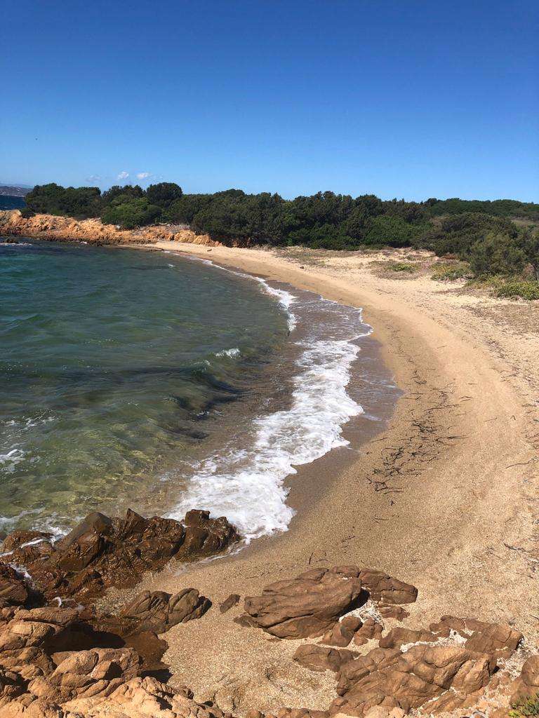 Plage de Sardène puzzle en ligne